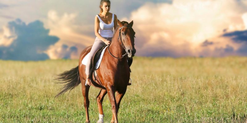 Les bienfaits de l’équitation